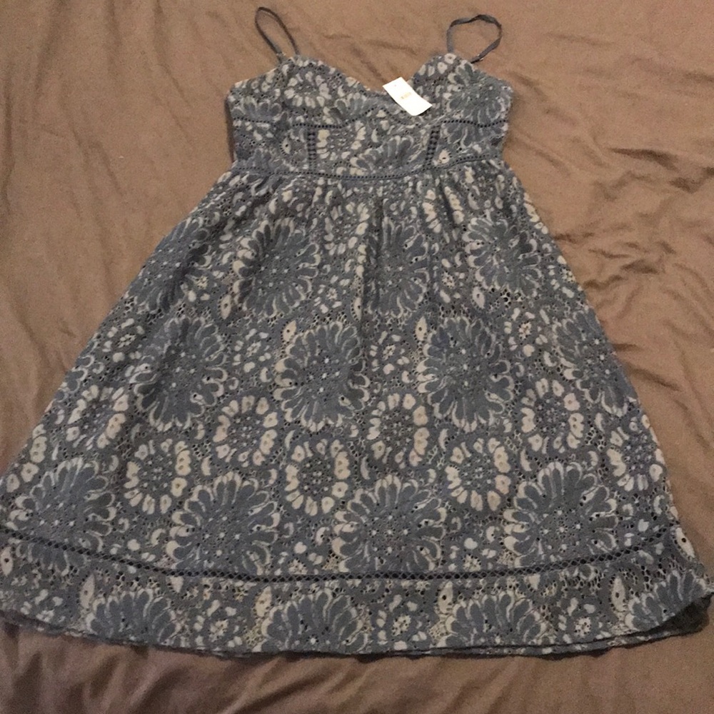 Loft Lace Cocktail/Wedding Dress